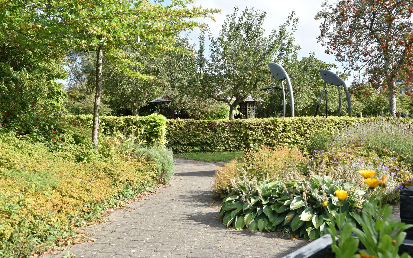 Haven på Rosenvænget