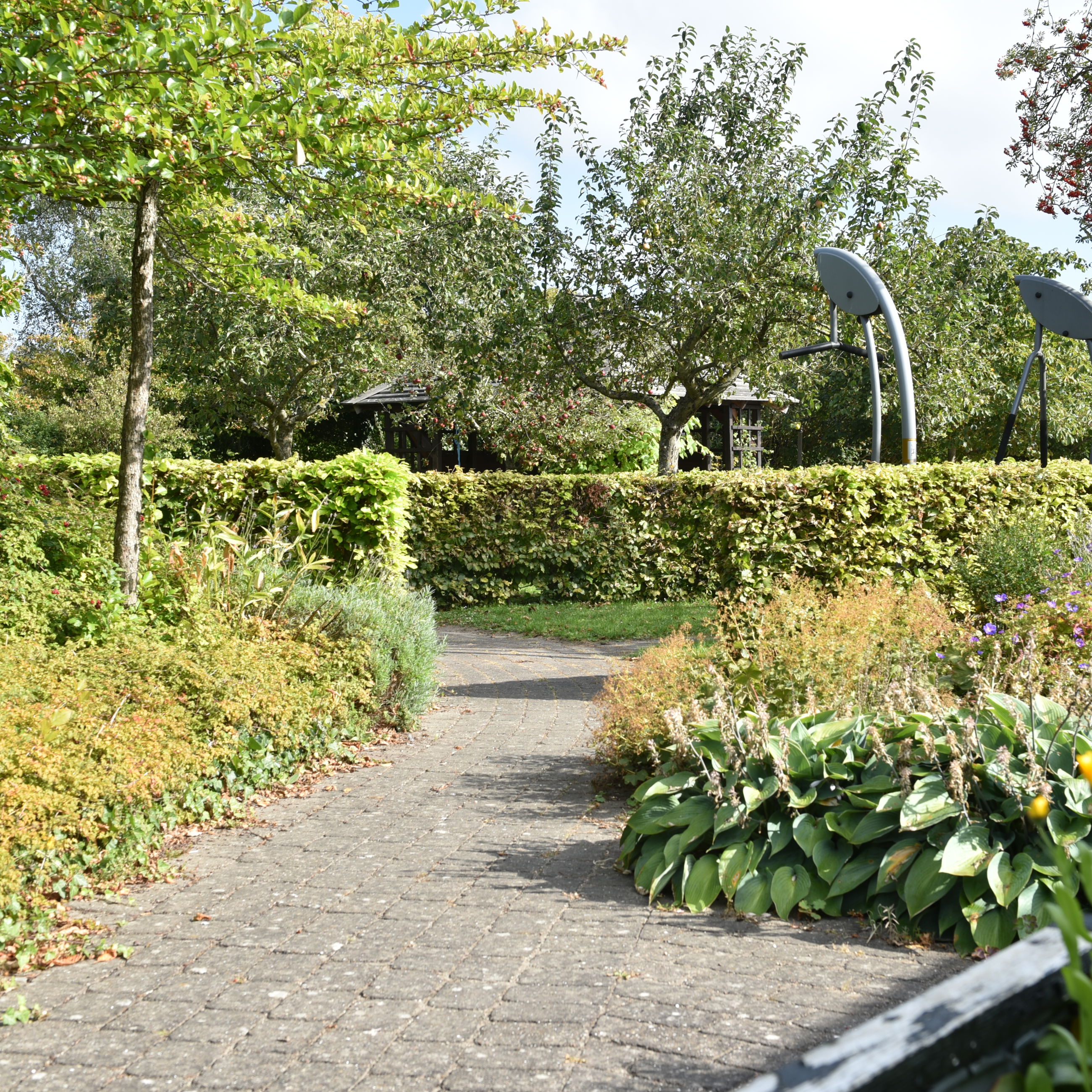 Haven på Rosenvænget