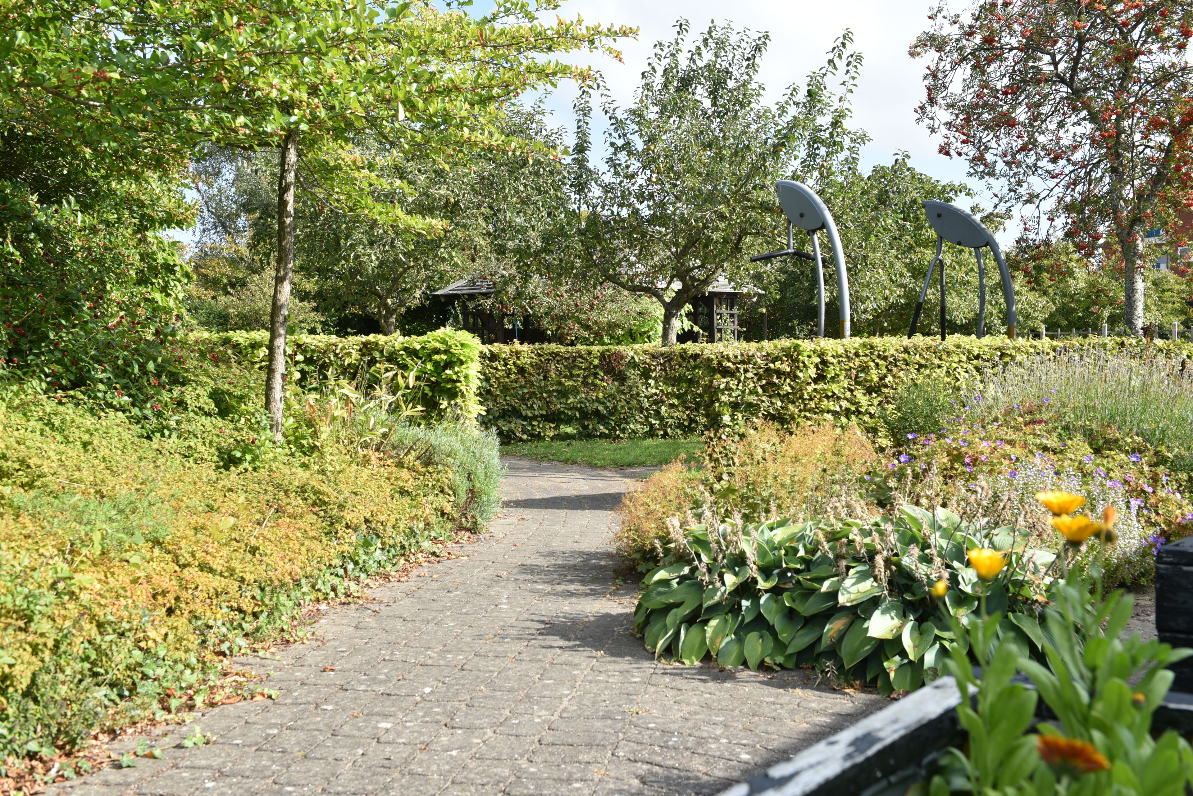 Haven på Rosenvænget