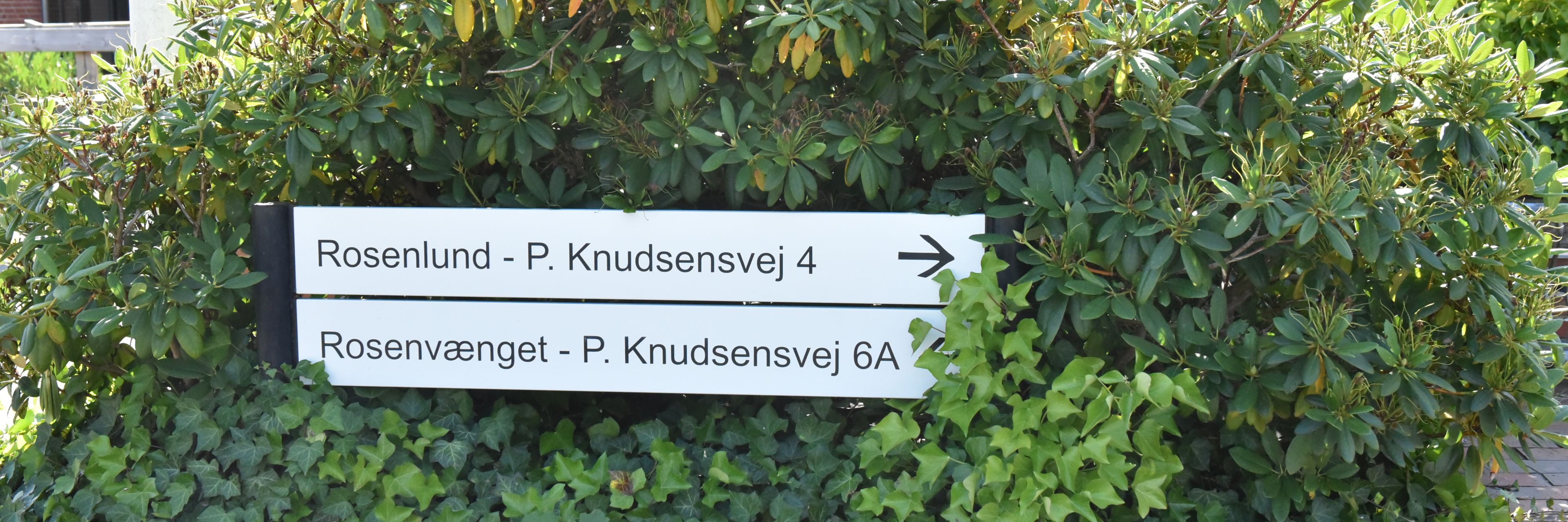 Skilt som viser vej til Rosenvænget